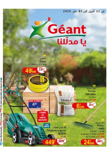 Geant Hyper offer thumb