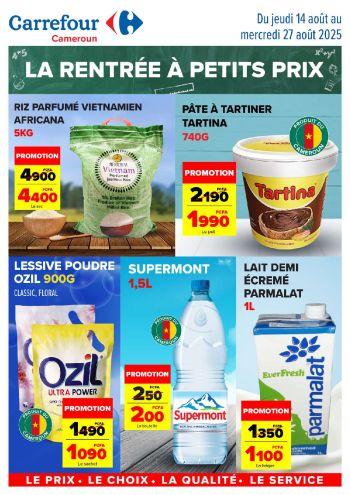 Carrefour offer thumb