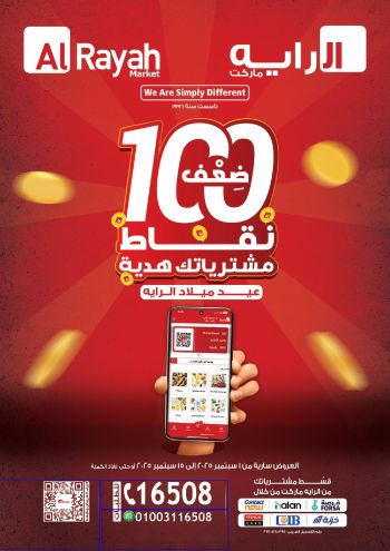 Al Raya Market offer thumb