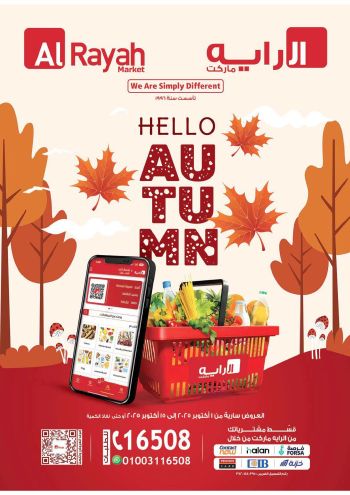 Al Raya Market offer thumb