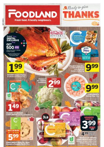 Foodland offer thumb