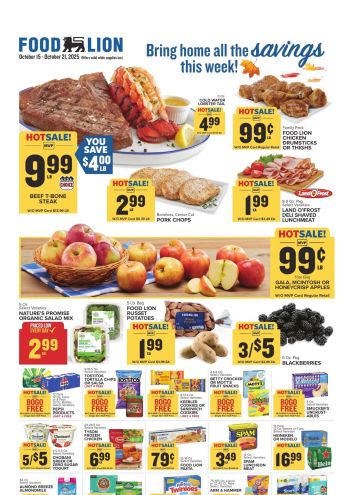 Foodlion offer thumb