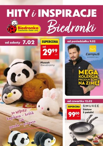 Biedronka offer thumb