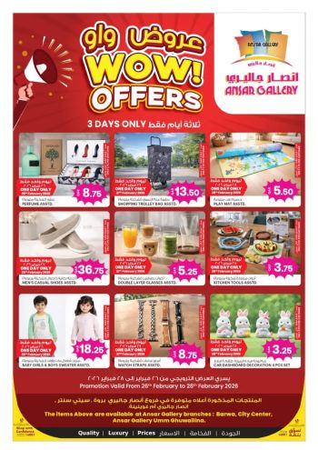 Ansar Gallery offer thumb